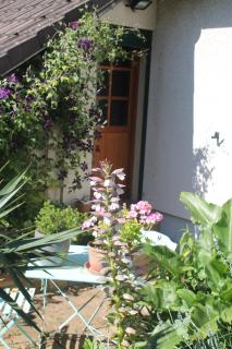Chambre d'Hôtes "Orchidees" - Nogent-le-Rotrou - 4