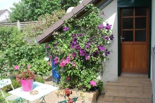 Chambre d'Hôtes "Orchidees" - Nogent-le-Rotrou - 5
