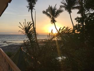 Pension Les Palmiers - 7