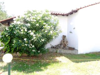 Peristeridi Apartments - Polykhrono - 4