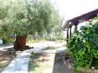 Peristeridi Apartments - Polykhrono - 5