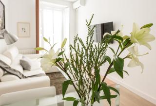 Chueca Exclusive - Madrid - 1