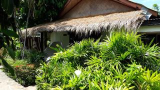 Papillon Resort - Chaweng - 2