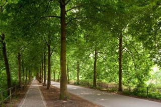 Travel Apartments - Münster - 4