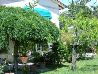 B&B La Mimosa - Spello - 9