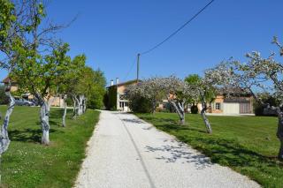 Ferme de Mouline - Sainte-Foy-la-Longue - 9