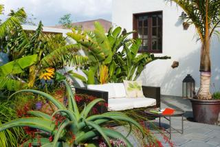 Finca Botanico Garden Apartment - Guatiza - 3
