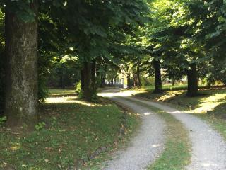 Edvina s home - Baveno - 0