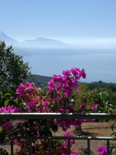 B&B Anna Maria - San Giovanni a Piro - 7