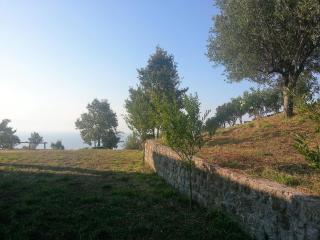 Villa Anna Maria - San Giovanni a Piro - 5