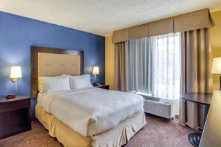 Holiday Inn Indianapolis North-Carmel by IHG - Carmel - 9