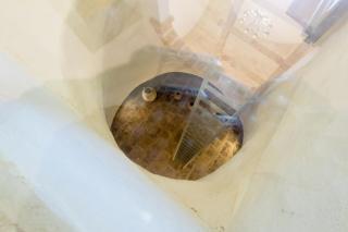 il Giardino delle Zie - 6