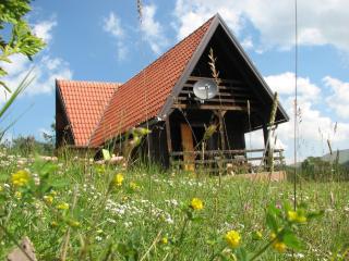 Chalet Four Seasons - Zlatibor - 7