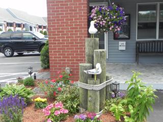 Elmwood Resort Hotel - Wells - 9
