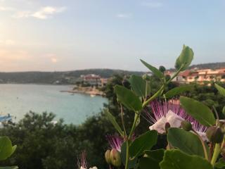 Villa Chiara - 1