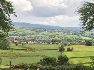 Creevy Lodge - Castlederg - 9