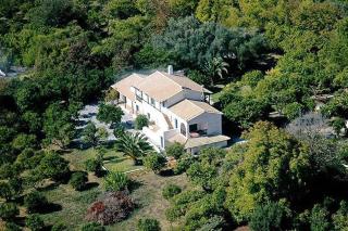 Inglessata Rose - 0