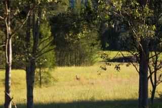 Windsors Edge Cottage Rothbury - Rothbury - 4