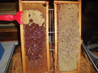 Agriturismo Bio-Ecologico Sant'Isidoro - 2