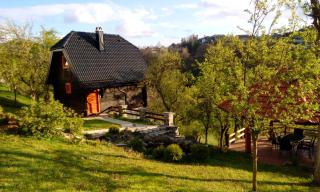 Vacation Home Nana - Mokra Gora - 7