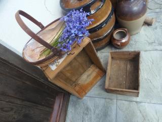 Dippy cottage - Bexhill - 9