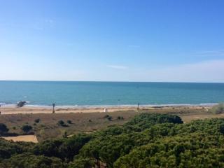 ARISTON - WALTERIGATO Apartments SOLO PER FAMIGLIE - Lido di Jesolo - 0