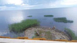 Tammispää Camping - Lohusuu - 0