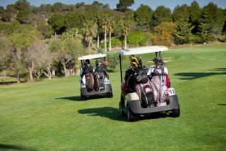 Hotel Golf Campoamor - 2