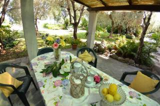 Casa Romana - Viareggio - 1