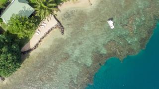 Robinson's Cove Villas - Deluxe Wallis Villa - Papetoai - 7