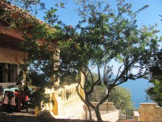 Foresta Forte - Ciolo by LoveSud - 7
