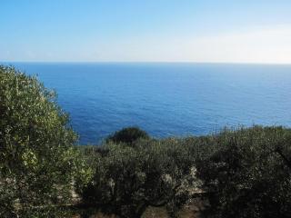 Foresta Forte - Ciolo by LoveSud - Gagliano del Capo - 6