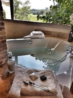 Le Domaine Saint Martin - Flassans-sur-Issole - 3