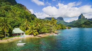 Robinson's Cove Villas - Deluxe Cook Villa - 0