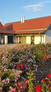 Tomaj Vendégház - 1