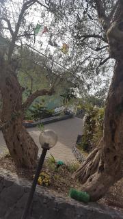Azienda Agricola Cuntarati - Bronte - 1