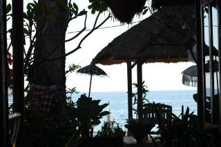 Beachouse Lovina - Lovina - 7
