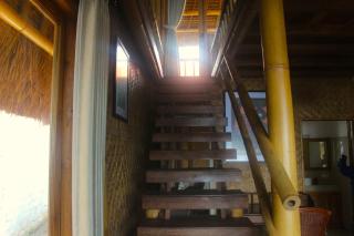Beachouse Lovina - 4