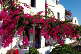Anna Traditional Apartments - Kamari - 8