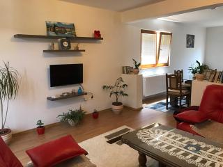Apartment near the Airport - Sarajevo - 0
