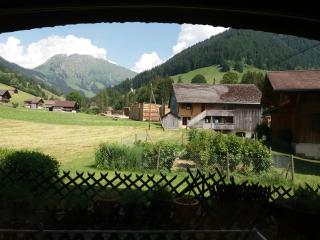 Hôtel du Chamois - L'Etivaz - 0