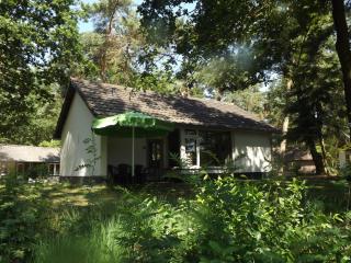 Vosseven 32 Geelgors - 9