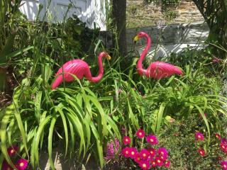 The Retro Retreat with free parking - Hastings - 7