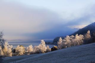 Sygard Storrvik - Storrvik - 3