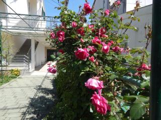 Lemon Tree Apartments - Zadar - 2