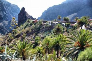 Marody Tenerife House - El Médano - 1