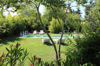 L'Islo Bamboo - Saumane-de-Vaucluse - 9