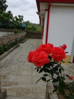 Casa da Vinha Grande - Poiares - 5