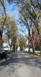 Plantation Motel - Huron - 6