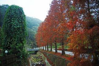 Maison-Philo Homestay B & B - Sanyi - 3